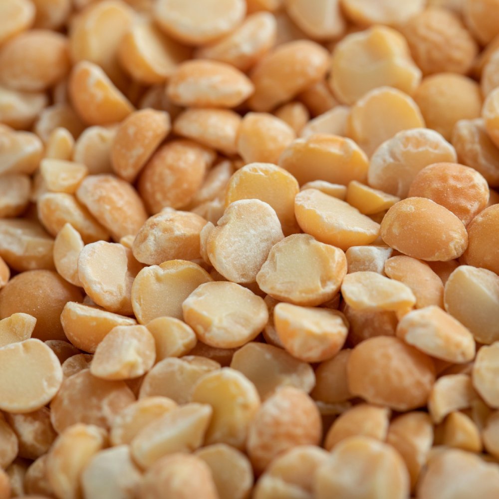 Chickpea Lentil 03