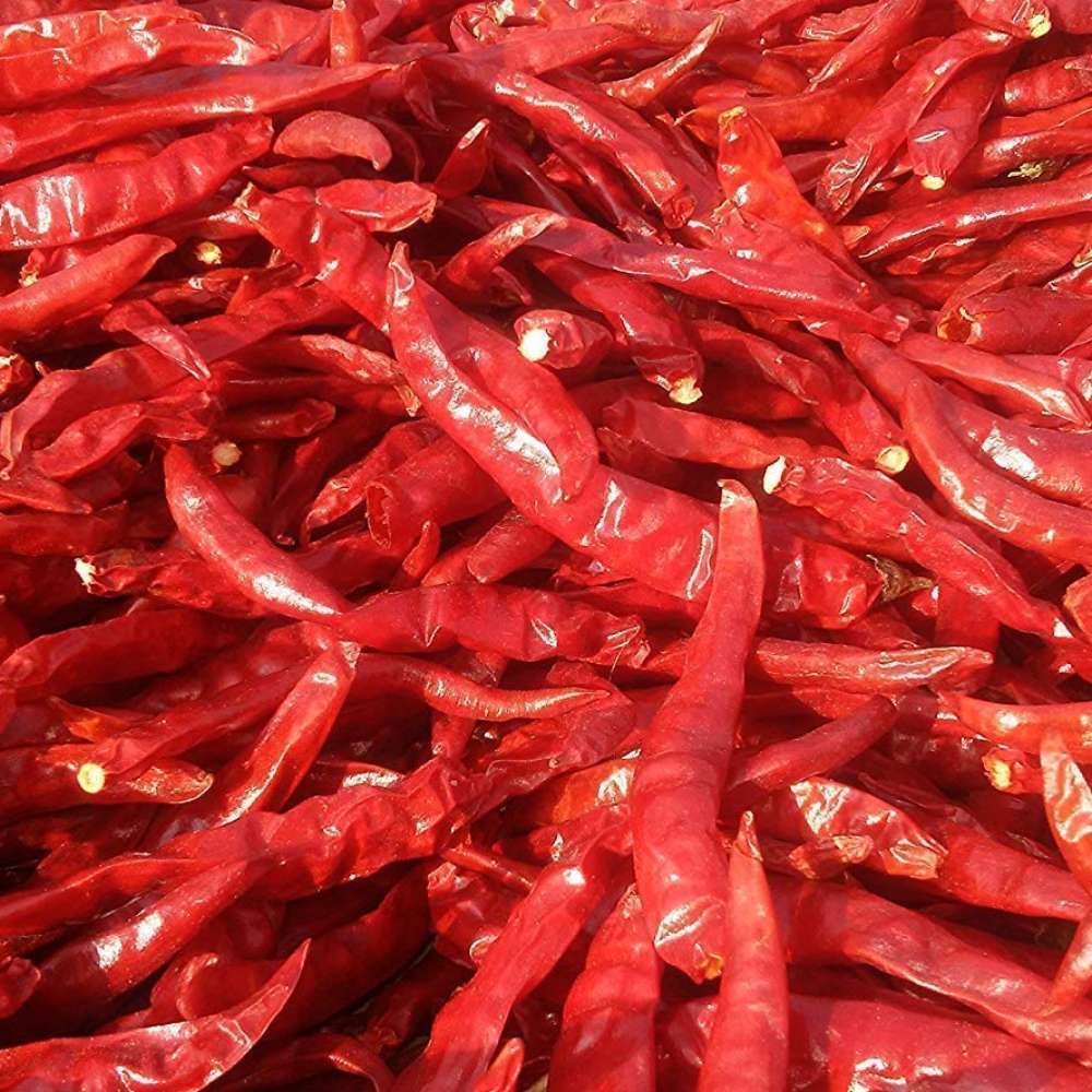 Red Chili 01