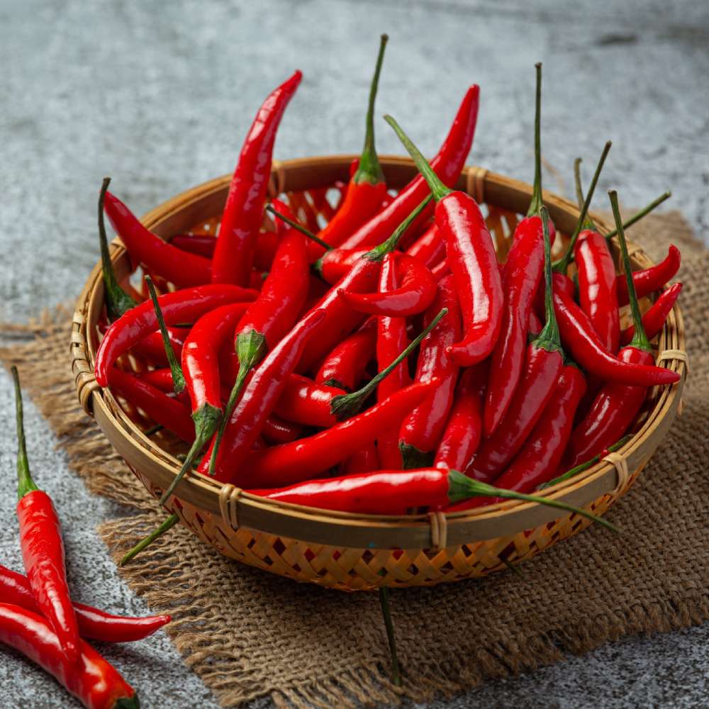 Red Chili 03