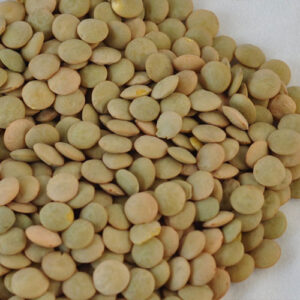 Bean Lentil