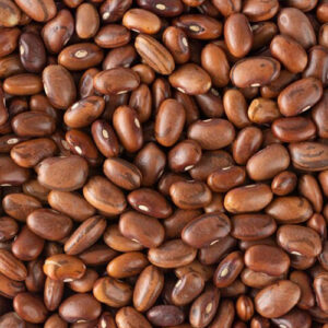 Bean