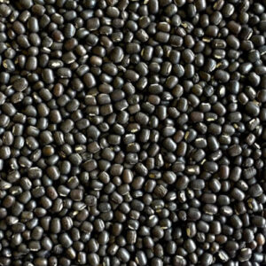Black Urad