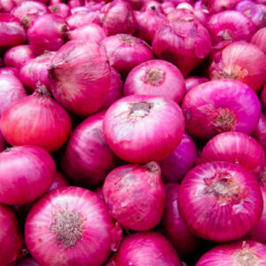 Onion
