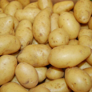 Potato